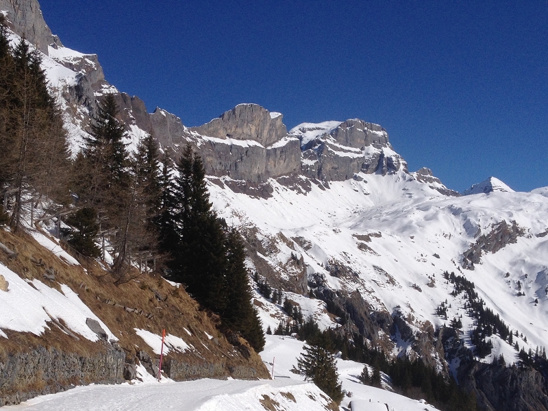 Engelberg Bruni