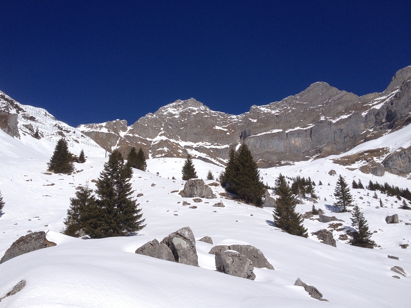 Engelberg Bruni
