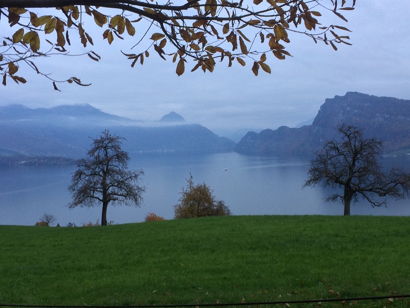 Horw Bireggwald Seeblick