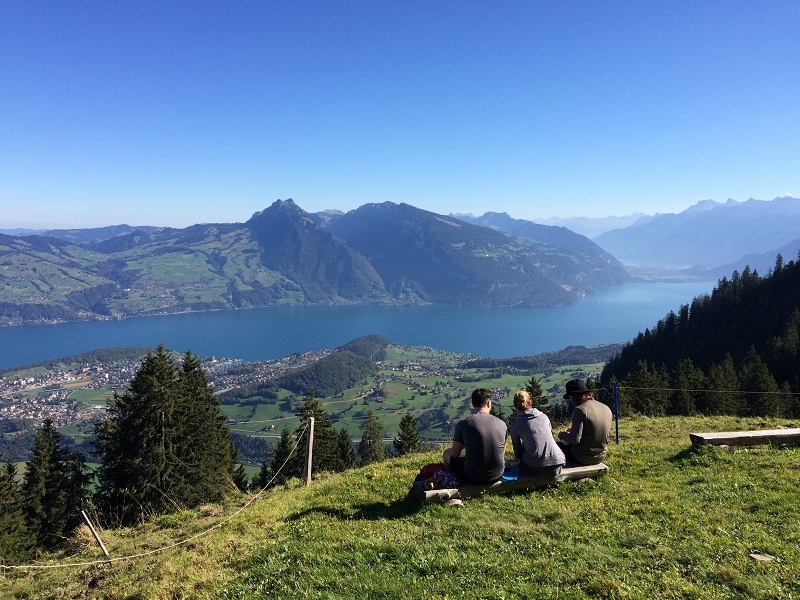 Wimmis Im vorderen Ahorni Niesen Thunersee