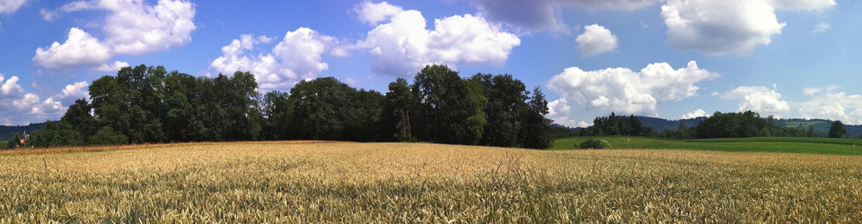 Hauptikon Kappel am Albis