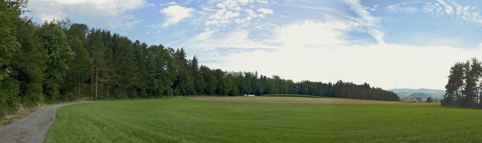 Hagenfeld Kappel am Albis