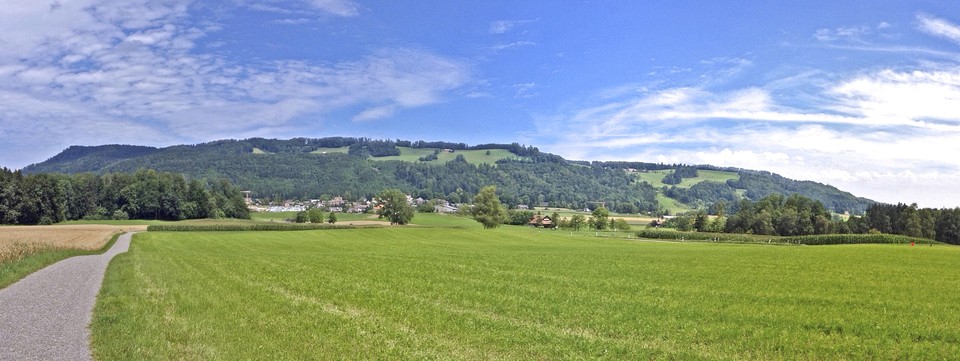 Hausen am Albis